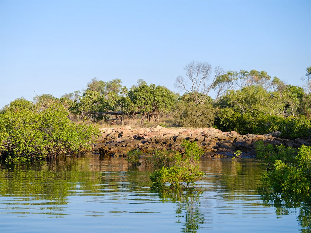 Ardi'ol Indigenous Tours - Mardaj (Reef) Tour